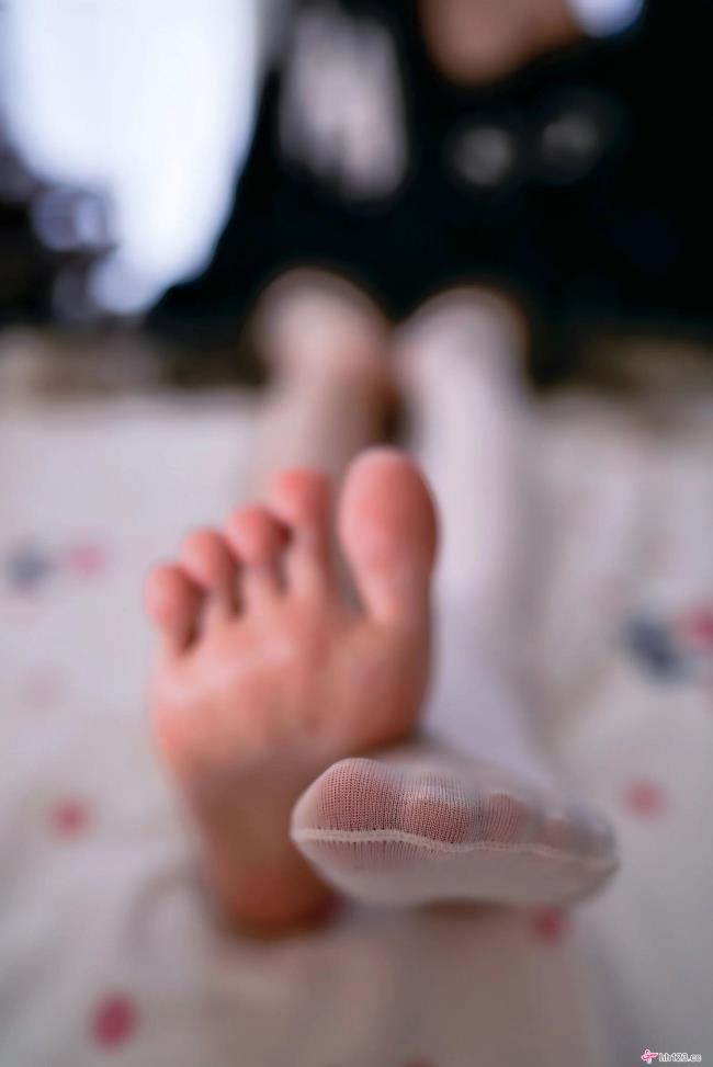 [桜桃喵] NO.224 缅因猫猫