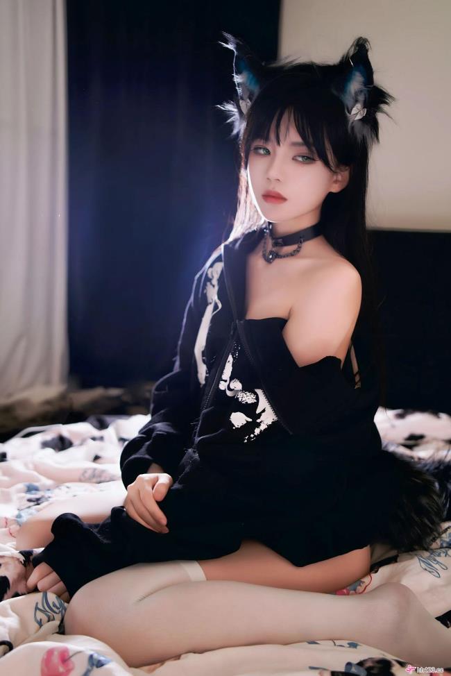 [桜桃喵] NO.224 缅因猫猫