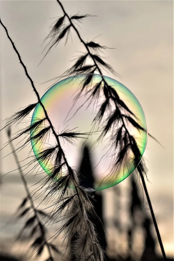 肥皂泡、背光、心情、微光、彩虹色、日出、球形、球形