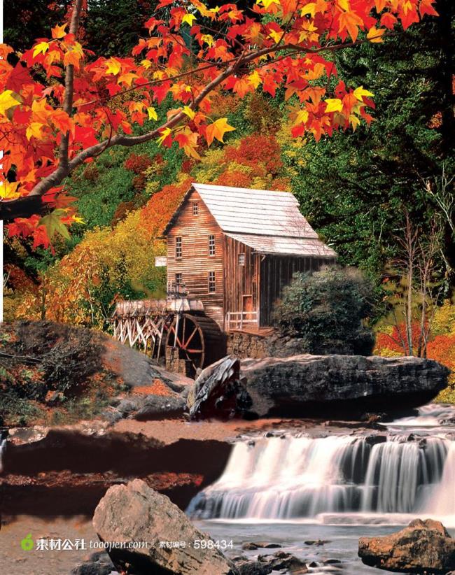 枫叶泉水山水图片