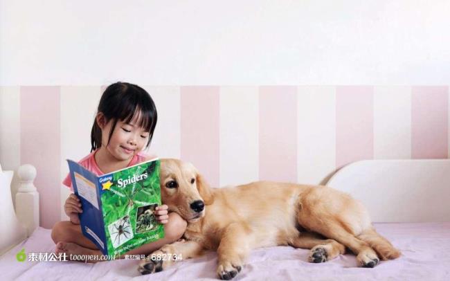 床上看书的女孩与狗